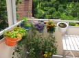 Ein paar Pflanzen auf einem Balkon