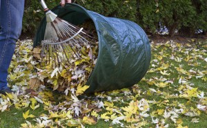 Vor der großen Kälte - Das braucht Ihr Garten im Herbst