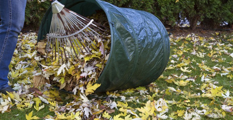 Vor der großen Kälte - Das braucht Ihr Garten im Herbst