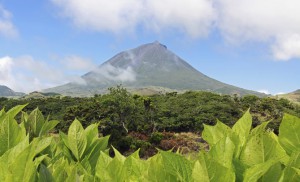 Island: Raue Schale, weicher Kern